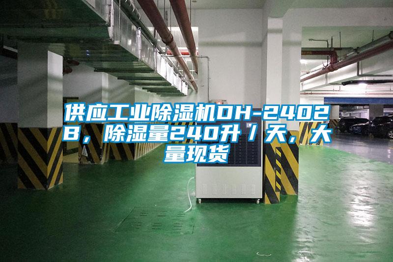 供應工業(yè)除濕機DH-2402B，除濕量240升／天，大量現(xiàn)貨