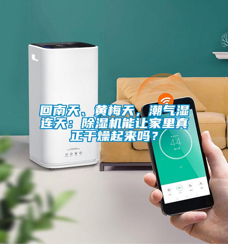 回南天、黃梅天，潮氣濕連天：除濕機能讓家里真正干燥起來嗎？