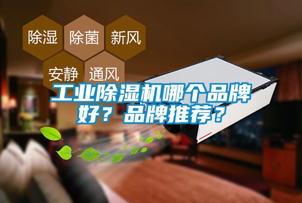 工業除濕機哪個品牌好？品牌推薦？
