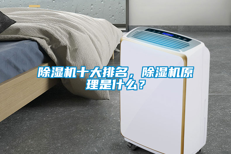除濕機十大排名，除濕機原理是什么？