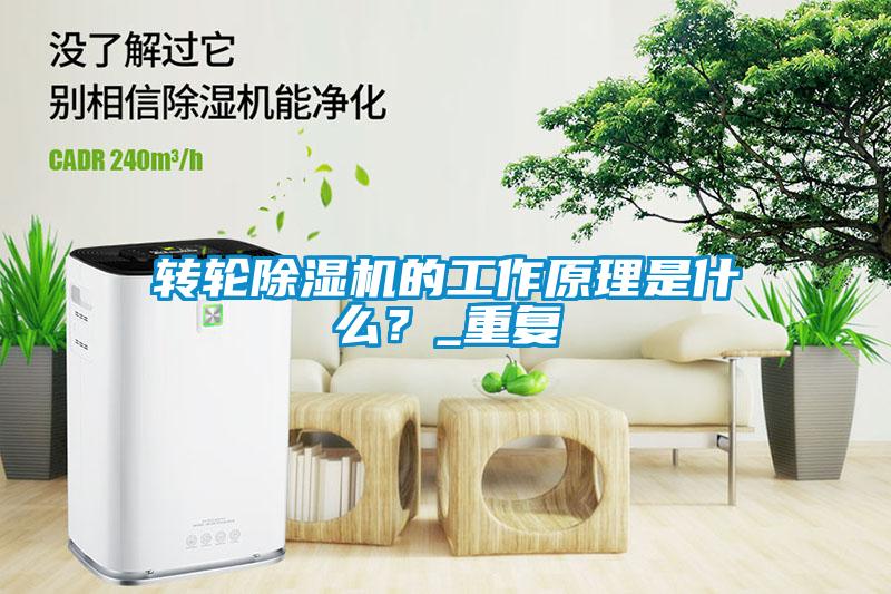 轉輪除濕機的工作原理是什么？_重復