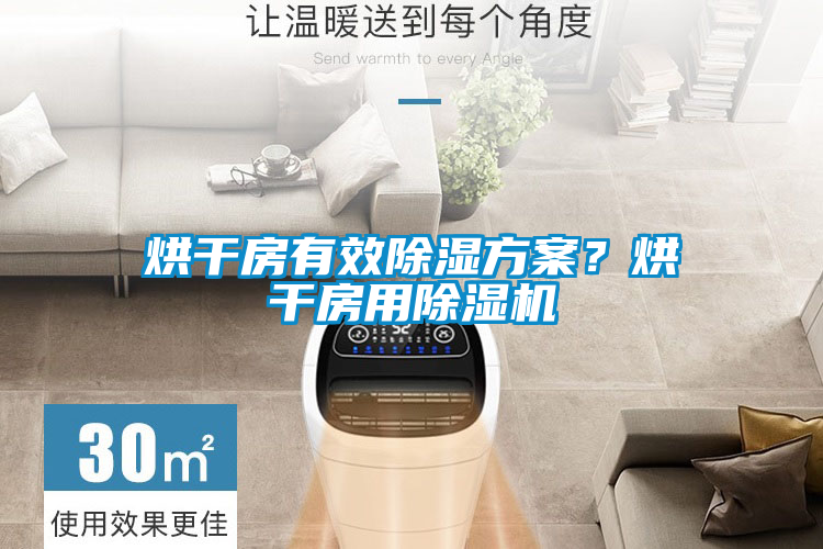 烘干房有效除濕方案？烘干房用除濕機
