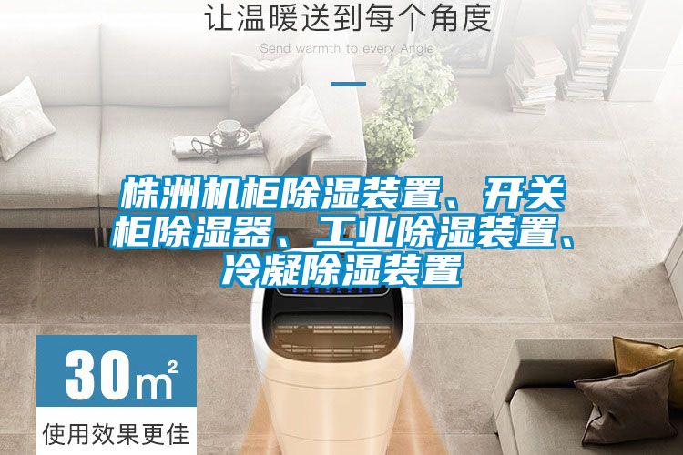 株洲機(jī)柜除濕裝置、開(kāi)關(guān)柜除濕器、工業(yè)除濕裝置、冷凝除濕裝置