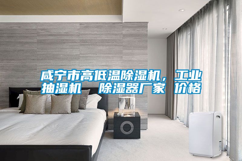 咸寧市高低溫除濕機，工業抽濕機  除濕器廠家 價格