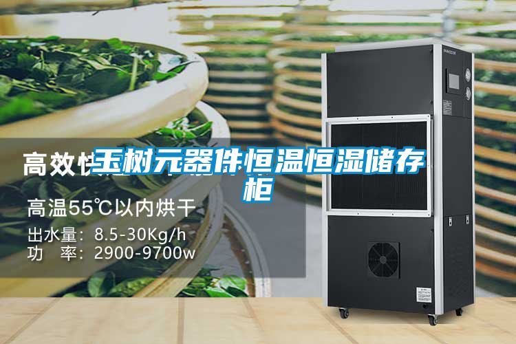 玉樹(shù)元器件恒溫恒濕儲(chǔ)存柜
