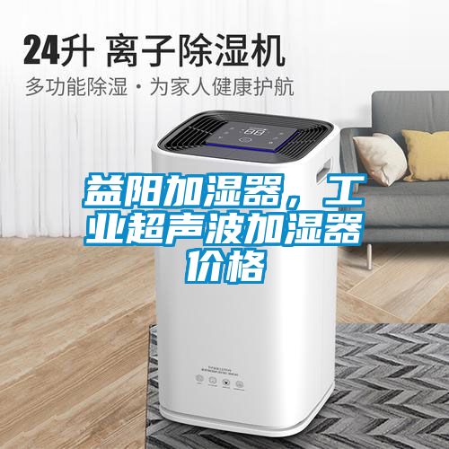 益陽加濕器，工業超聲波加濕器價格