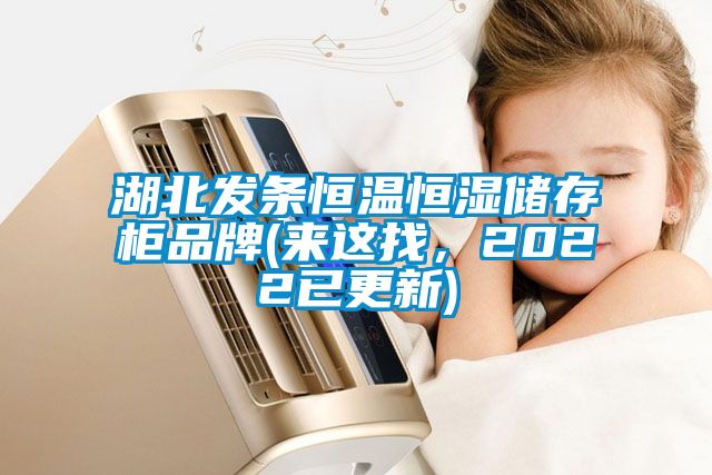 湖北發(fā)條恒溫恒濕儲(chǔ)存柜品牌(來(lái)這找，2022已更新)