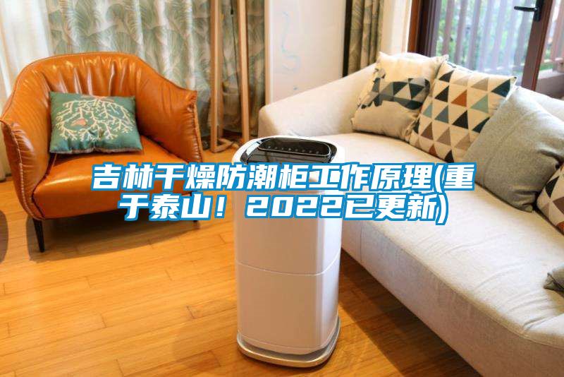 吉林干燥防潮柜工作原理(重于泰山！2022已更新)