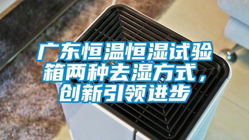 廣東恒溫恒濕試驗箱兩種去濕方式，創(chuàng)新引領(lǐng)進步