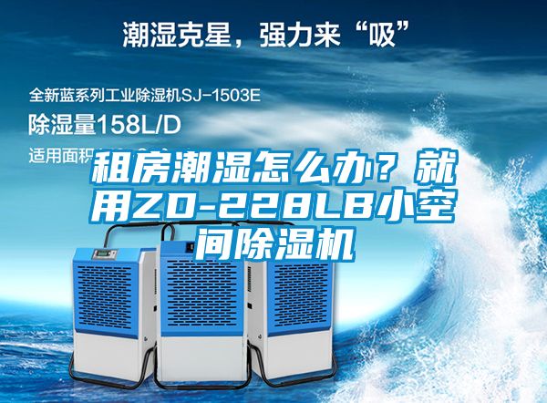 租房潮濕怎么辦？就用ZD-228LB小空間除濕機