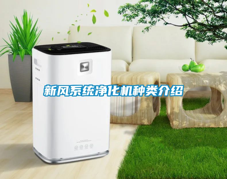 新風(fēng)系統(tǒng)凈化機(jī)種類(lèi)介紹