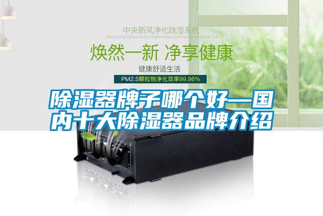 除濕器牌子哪個(gè)好—國內(nèi)十大除濕器品牌介紹