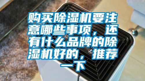 購買除濕機(jī)要注意哪些事項，還有什么品牌的除濕機(jī)好的，推薦一下