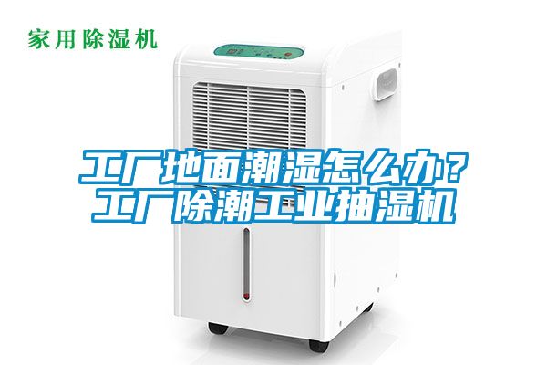 工廠地面潮濕怎么辦？工廠除潮工業(yè)抽濕機