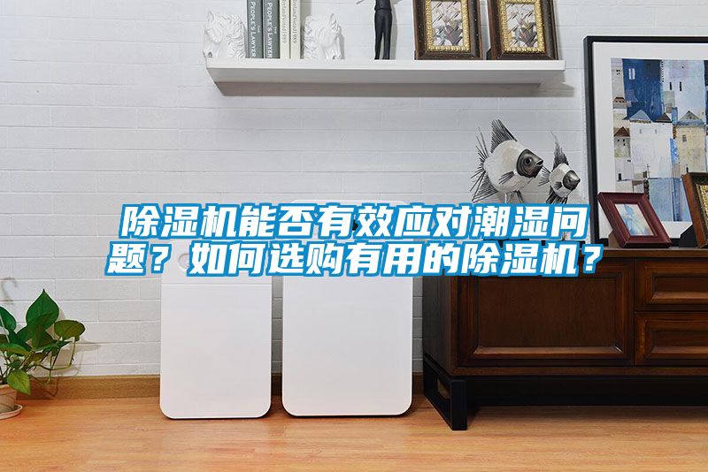 除濕機能否有效應對潮濕問題？如何選購有用的除濕機？