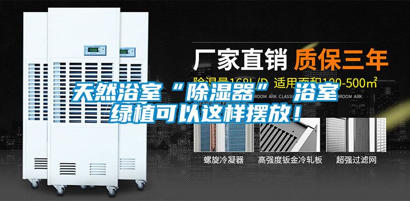 天然浴室“除濕器” 浴室綠植可以這樣擺放！