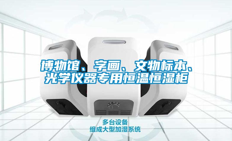 博物館、字畫、文物標本、光學儀器專用恒溫恒濕柜