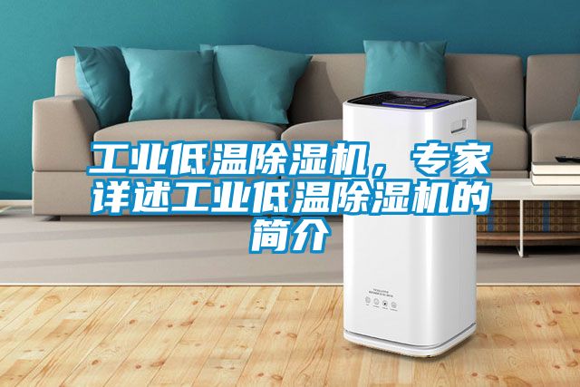 工業(yè)低溫除濕機(jī)，專家詳述工業(yè)低溫除濕機(jī)的簡(jiǎn)介