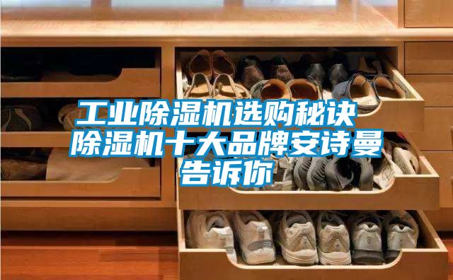 工業(yè)除濕機(jī)選購(gòu)秘訣 除濕機(jī)十大品牌安詩(shī)曼告訴你