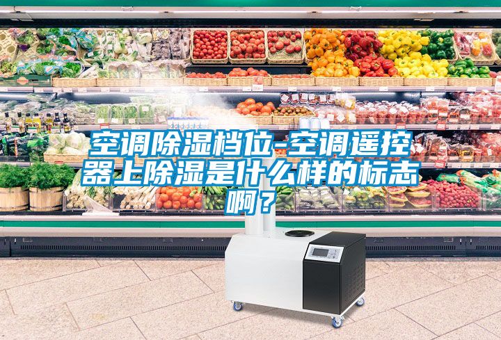 空調(diào)除濕檔位-空調(diào)遙控器上除濕是什么樣的標(biāo)志??？
