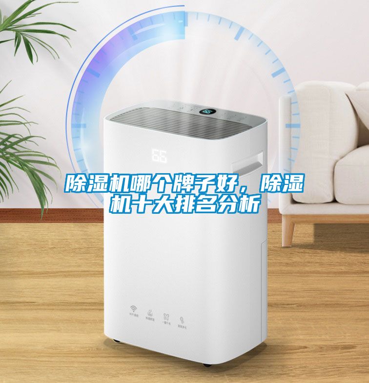 除濕機(jī)哪個牌子好，除濕機(jī)十大排名分析