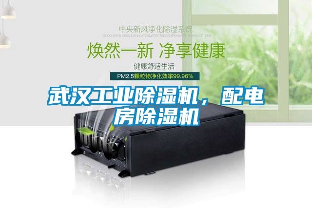 武漢工業(yè)除濕機，配電房除濕機