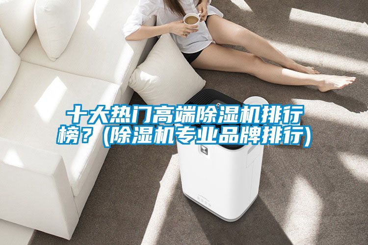 十大熱門高端除濕機排行榜？(除濕機專業品牌排行)