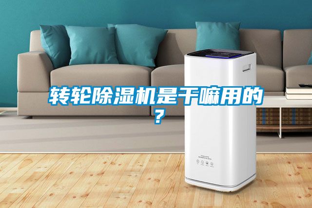 轉輪除濕機是干嘛用的？