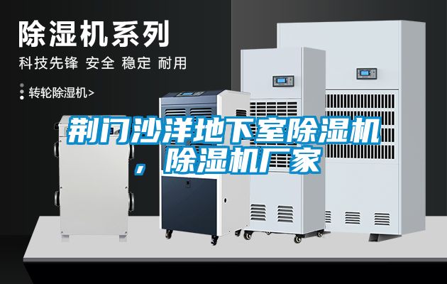荊門沙洋地下室除濕機(jī)，除濕機(jī)廠家