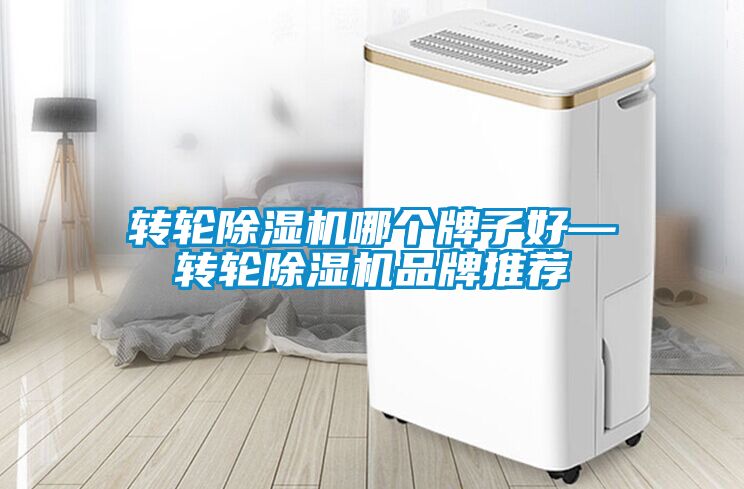 轉(zhuǎn)輪除濕機(jī)哪個(gè)牌子好—轉(zhuǎn)輪除濕機(jī)品牌推薦