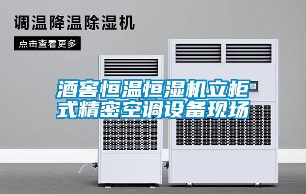 酒窖恒溫恒濕機立柜式精密空調設備現(xiàn)場