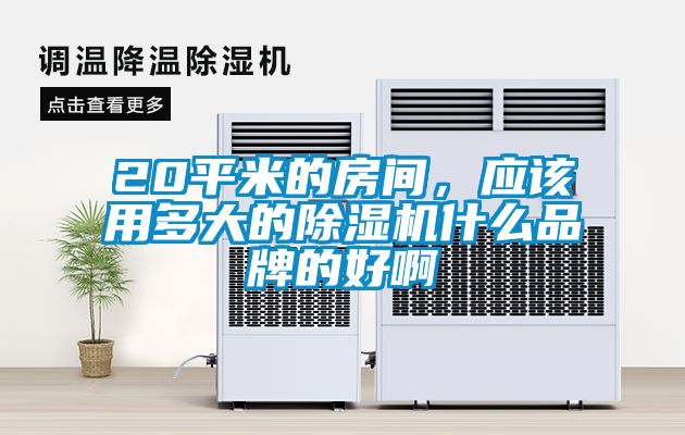 20平米的房間，應該用多大的除濕機什么品牌的好啊