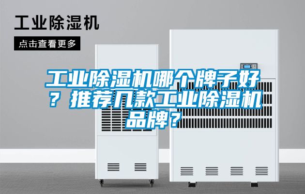 工業(yè)除濕機(jī)哪個(gè)牌子好？推薦幾款工業(yè)除濕機(jī)品牌？