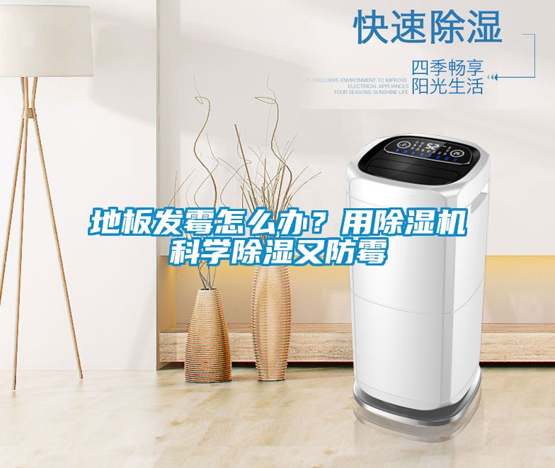 地板發霉怎么辦？用除濕機科學除濕又防霉