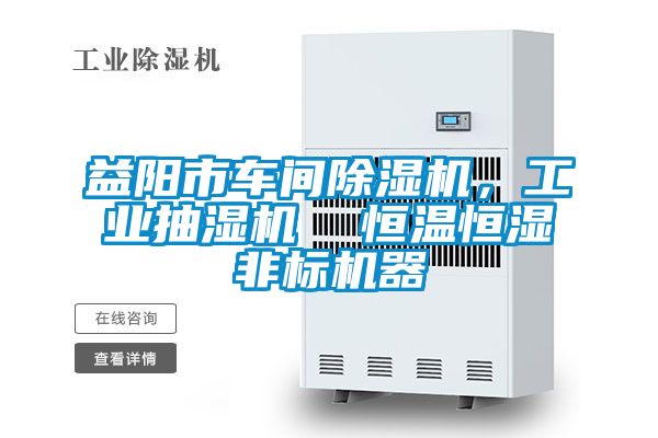 益陽市車間除濕機(jī)，工業(yè)抽濕機(jī)  恒溫恒濕非標(biāo)機(jī)器