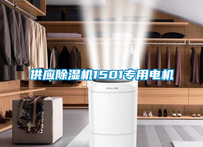 供應(yīng)除濕機(jī)1501專(zhuān)用電機(jī)