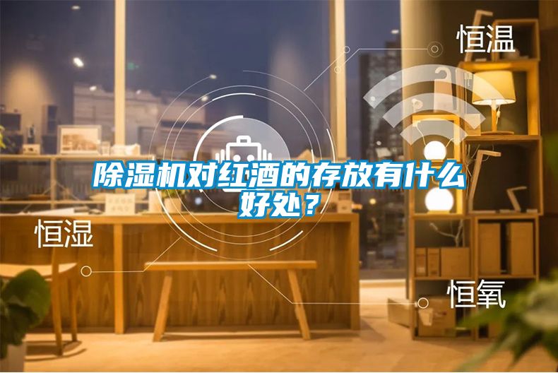 除濕機對紅酒的存放有什么好處？
