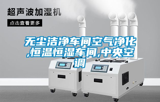 無(wú)塵潔凈車間空氣凈化,恒溫恒濕車間,中央空調(diào)