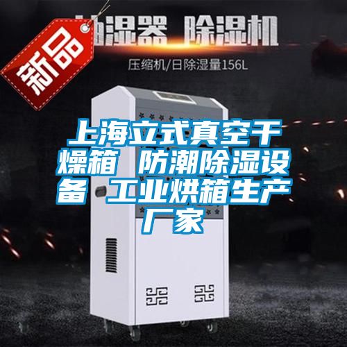 上海立式真空干燥箱 防潮除濕設(shè)備 工業(yè)烘箱生產(chǎn)廠(chǎng)家