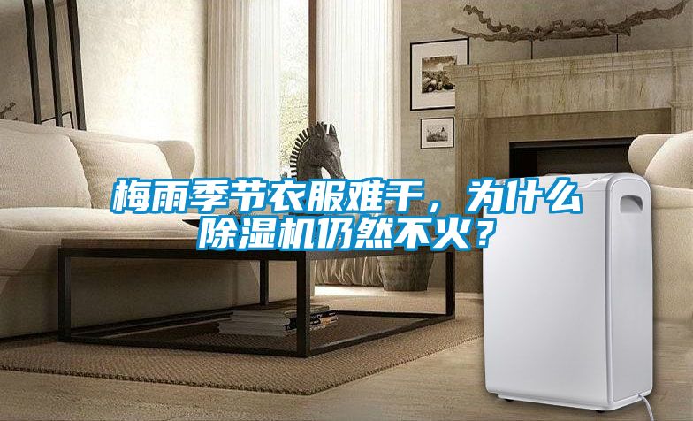 梅雨季節(jié)衣服難干，為什么除濕機仍然不火？