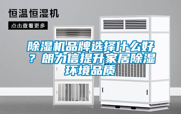 除濕機品牌選擇什么好？朗力信提升家居除濕環境品質