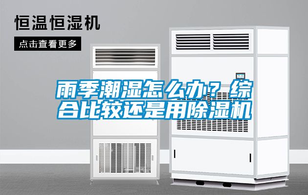 雨季潮濕怎么辦？綜合比較還是用除濕機