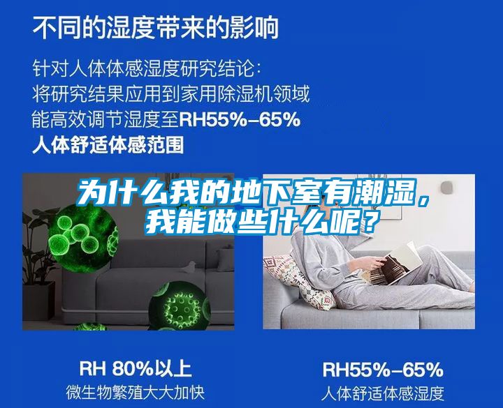 為什么我的地下室有潮濕， 我能做些什么呢？
