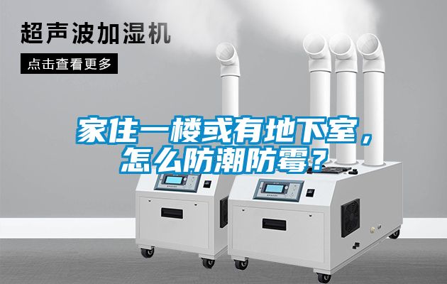 家住一樓或有地下室，怎么防潮防霉？