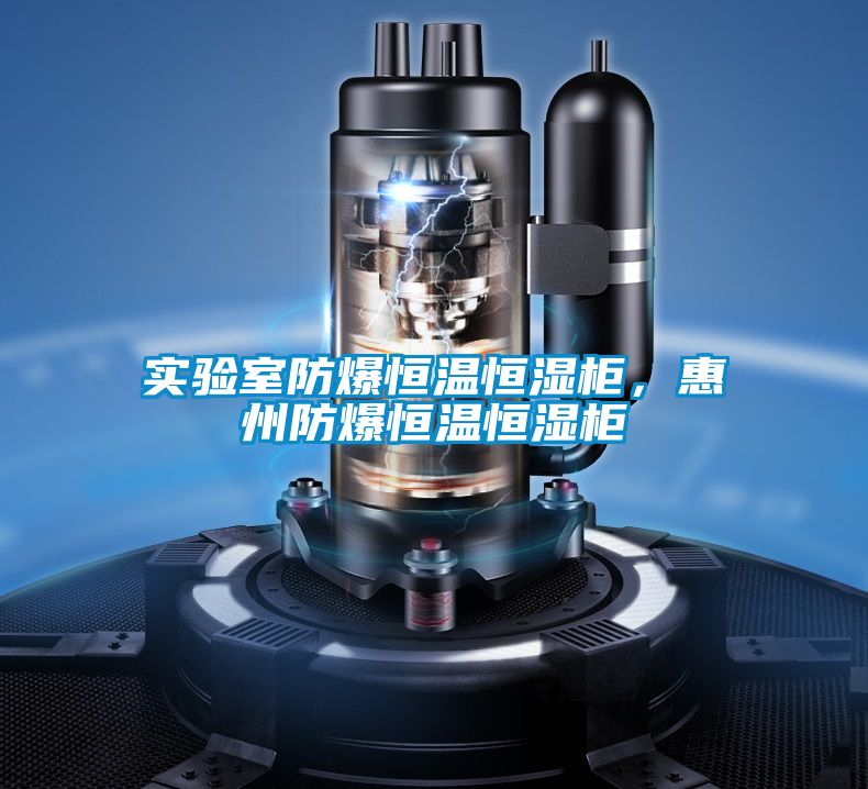 實驗室防爆恒溫恒濕柜，惠州防爆恒溫恒濕柜