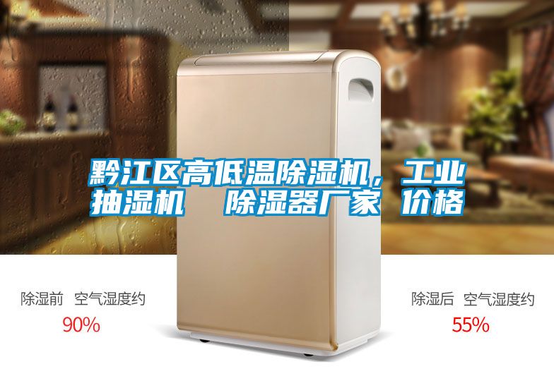 黔江區(qū)高低溫除濕機(jī)，工業(yè)抽濕機(jī)  除濕器廠家 價格