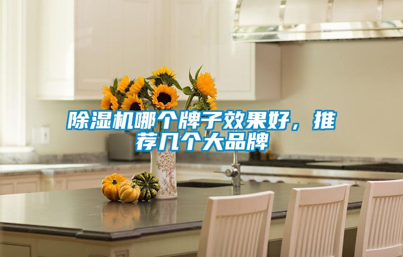 除濕機哪個牌子效果好，推薦幾個大品牌