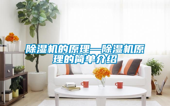 除濕機(jī)的原理—除濕機(jī)原理的簡單介紹