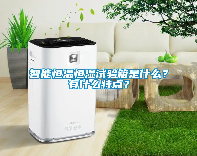 智能恒溫恒濕試驗箱是什么？有什么特點？