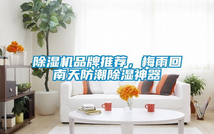 除濕機品牌推薦，梅雨回南天防潮除濕神器